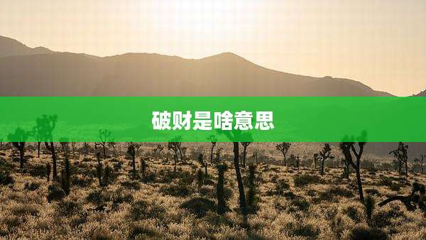 破财是啥意思