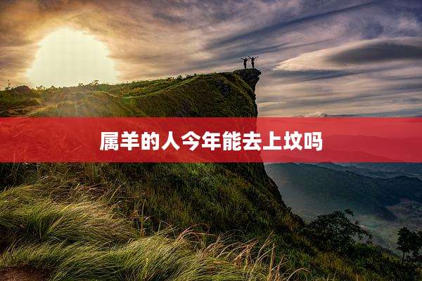 属羊的人今年能去上坟吗