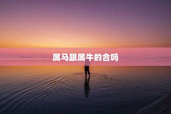 属马跟属牛的合吗
