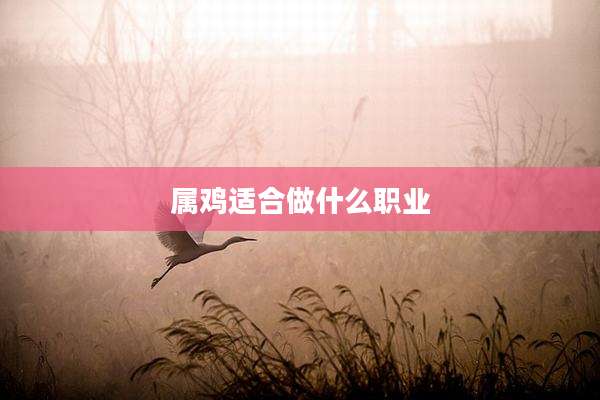 属鸡适合做什么职业