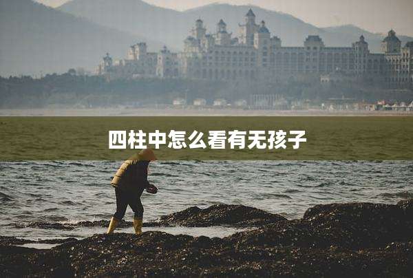 四柱中怎么看有无孩子