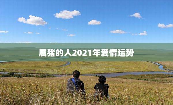 属猪的人2021年爱情运势