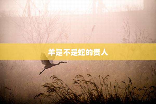 羊是不是蛇的贵人
