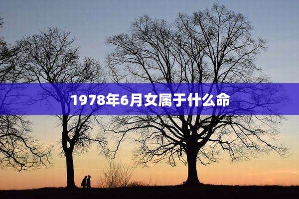 1978年6月女属于什么命