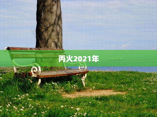 丙火2021年