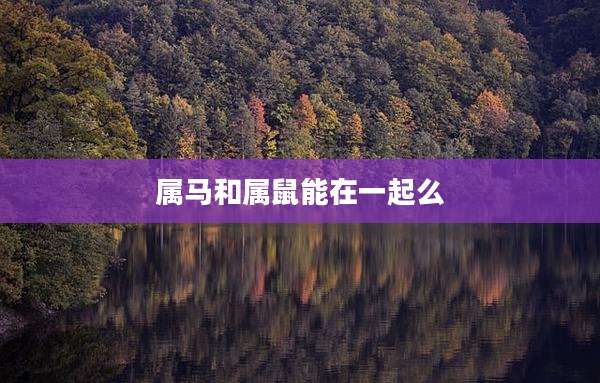 属马和属鼠能在一起么