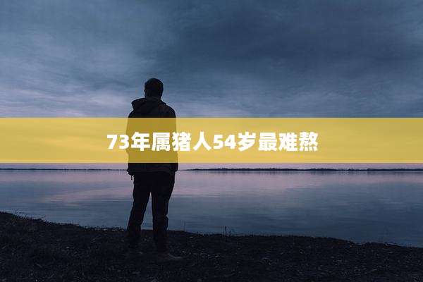 73年属猪人54岁最难熬