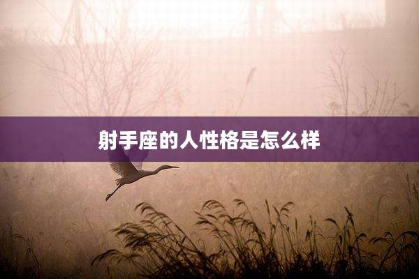 射手座的人性格是怎么样