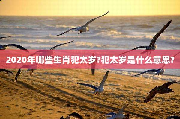 2020年哪些生肖犯太岁?犯太岁是什么意思?