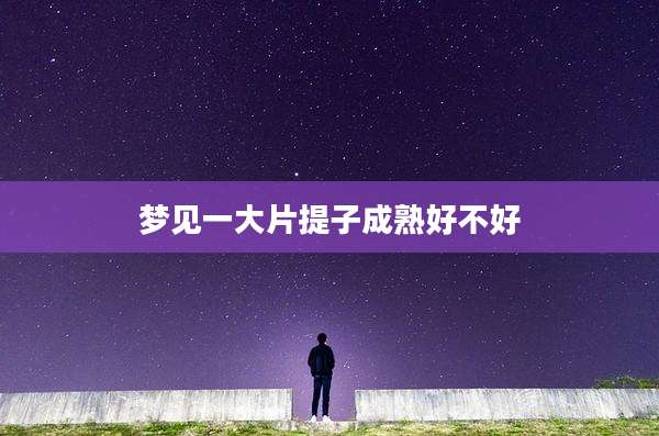 梦见一大片提子成熟好不好