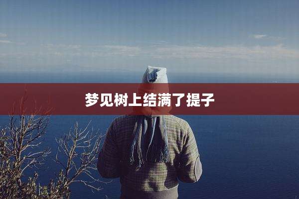 梦见树上结满了提子