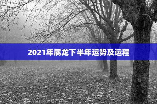 2021年属龙下半年运势及运程