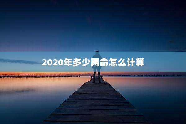 2020年多少两命怎么计算