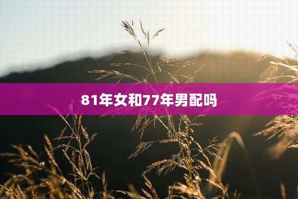 81年女和77年男配吗