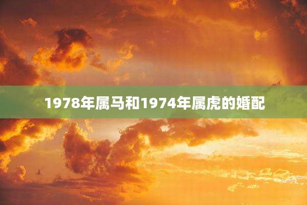 1978年属马和1974年属虎的婚配