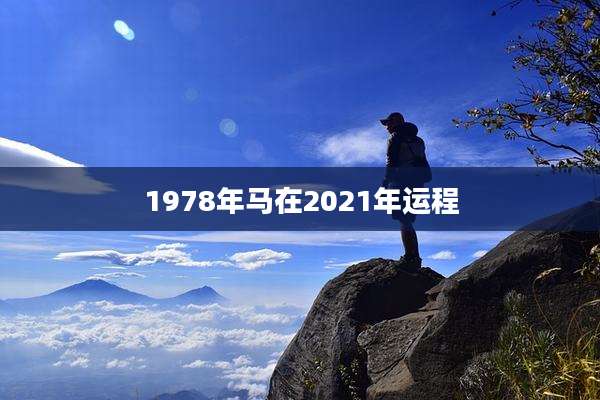 1978年马在2021年运程