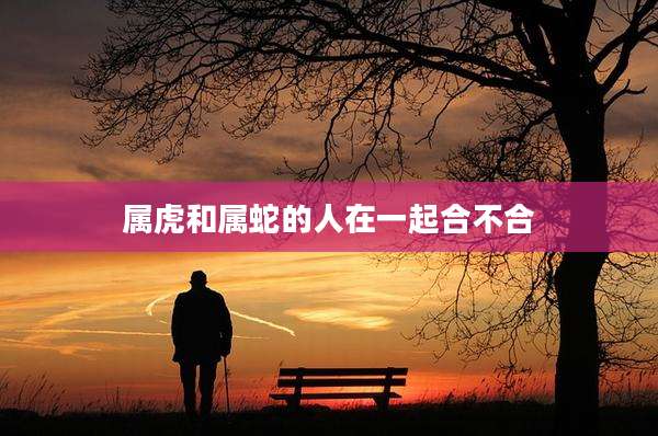 属虎和属蛇的人在一起合不合