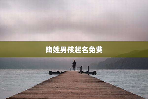 陶姓男孩起名免费