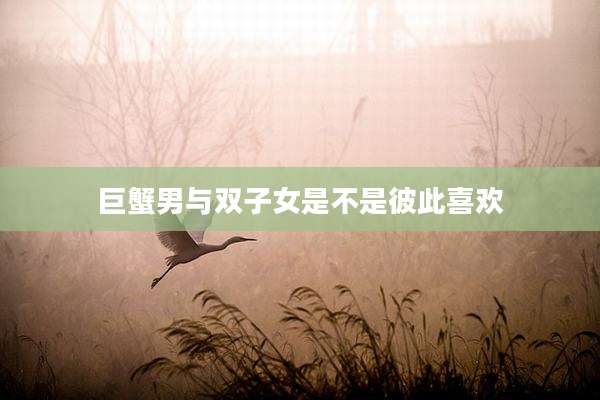 巨蟹男与双子女是不是彼此喜欢