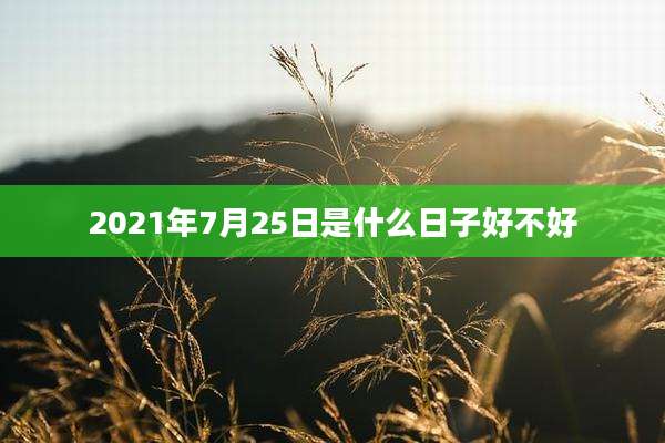 2021年7月25日是什么日子好不好