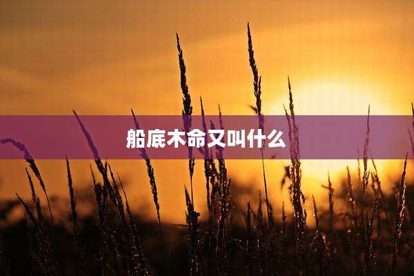 船底木命又叫什么