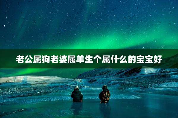 老公属狗老婆属羊生个属什么的宝宝好