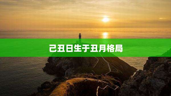 己丑日生于丑月格局