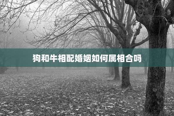 狗和牛相配婚姻如何属相合吗