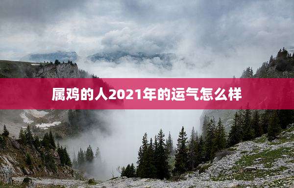 属鸡的人2021年的运气怎么样