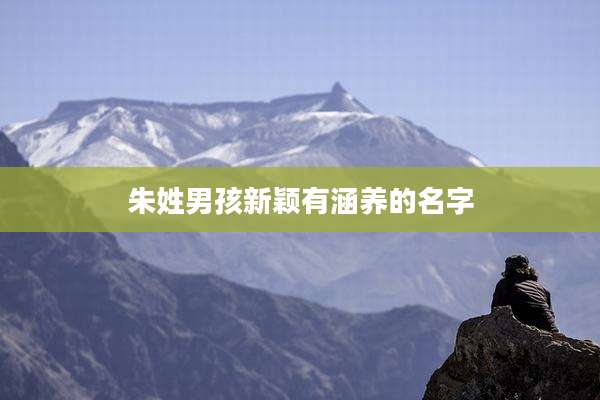 朱姓男孩新颖有涵养的名字