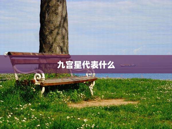 九宫星代表什么
