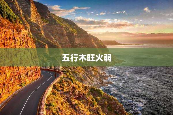 五行木旺火弱