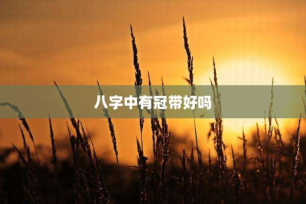八字中有冠带好吗