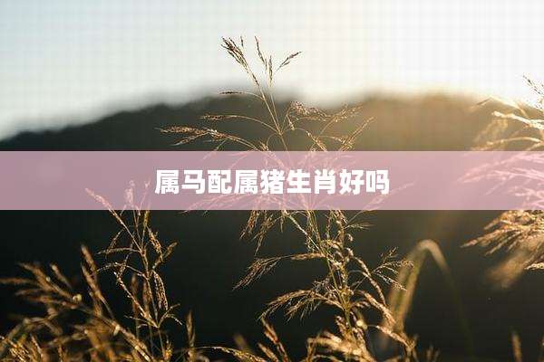 属马配属猪生肖好吗