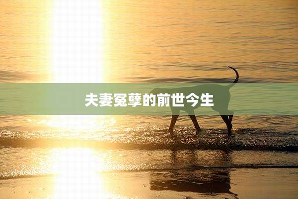 夫妻冤孽的前世今生