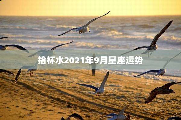 拾杯水2021年9月星座运势