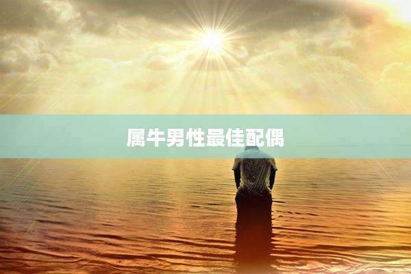 属牛男性最佳配偶