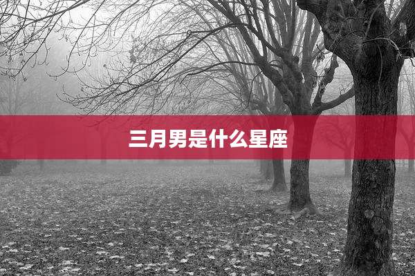 三月男是什么星座