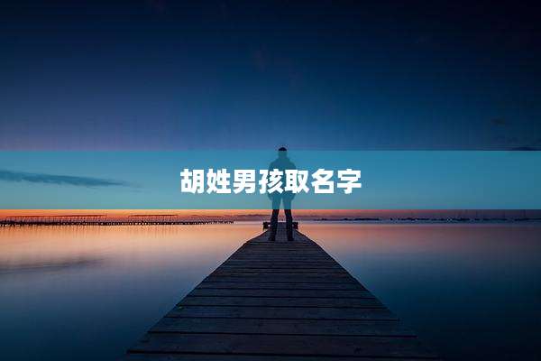 胡姓男孩取名字