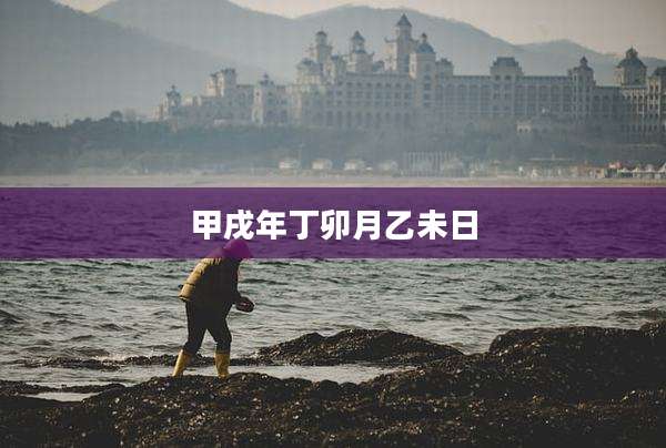 甲戌年丁卯月乙未日