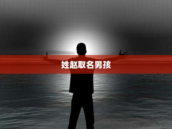 姓赵取名男孩