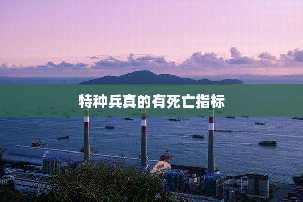 特种兵真的有死亡指标