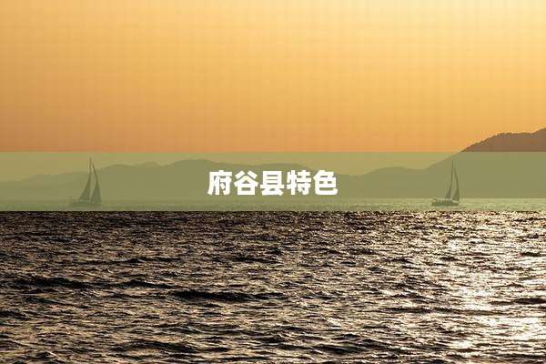 府谷县特色