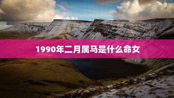 1990年二月属马是什么命女
