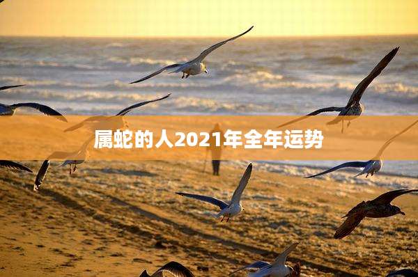 属蛇的人2021年全年运势