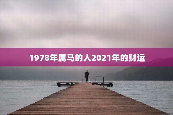 1978年属马的人2021年的财运