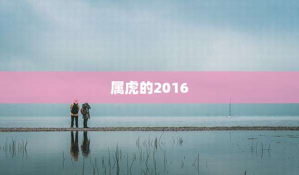 属虎的2016