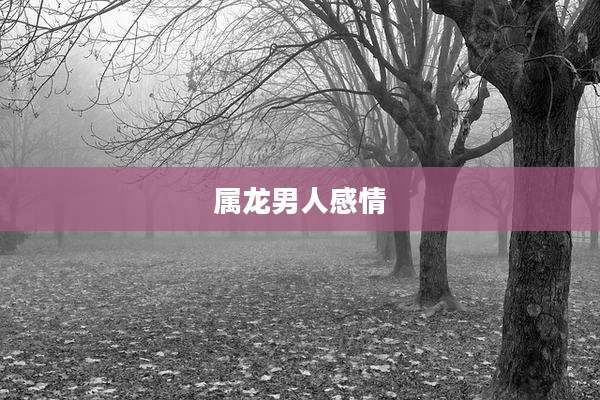 属龙男人感情
