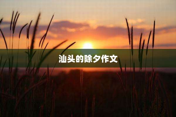 汕头的除夕作文