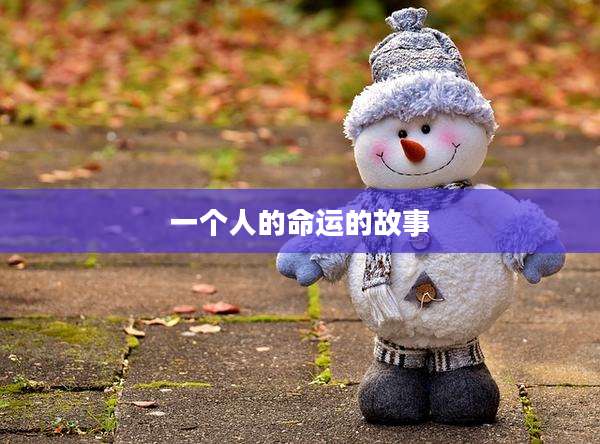 一个人的命运的故事